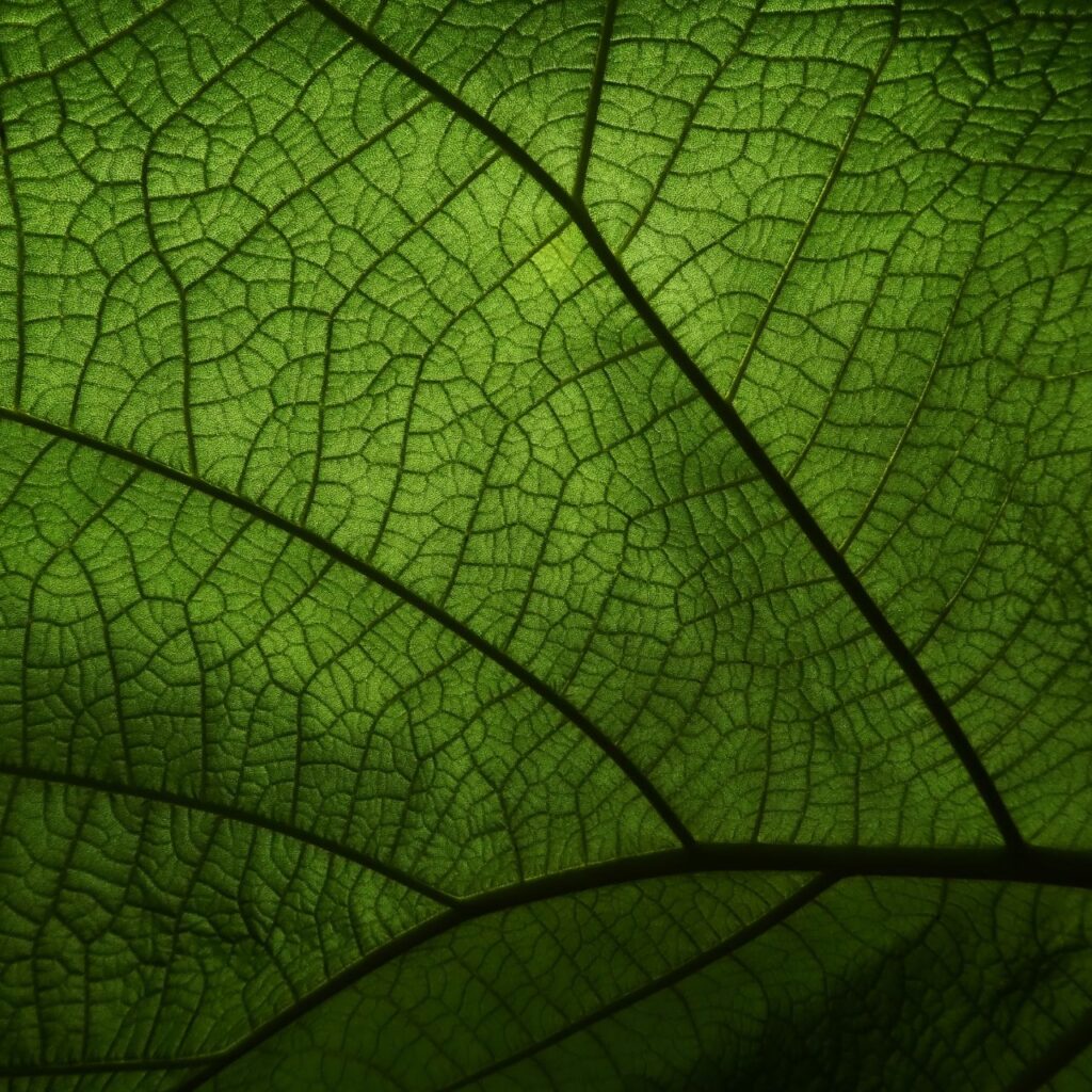 header-sito-bilancio-sostenibilita