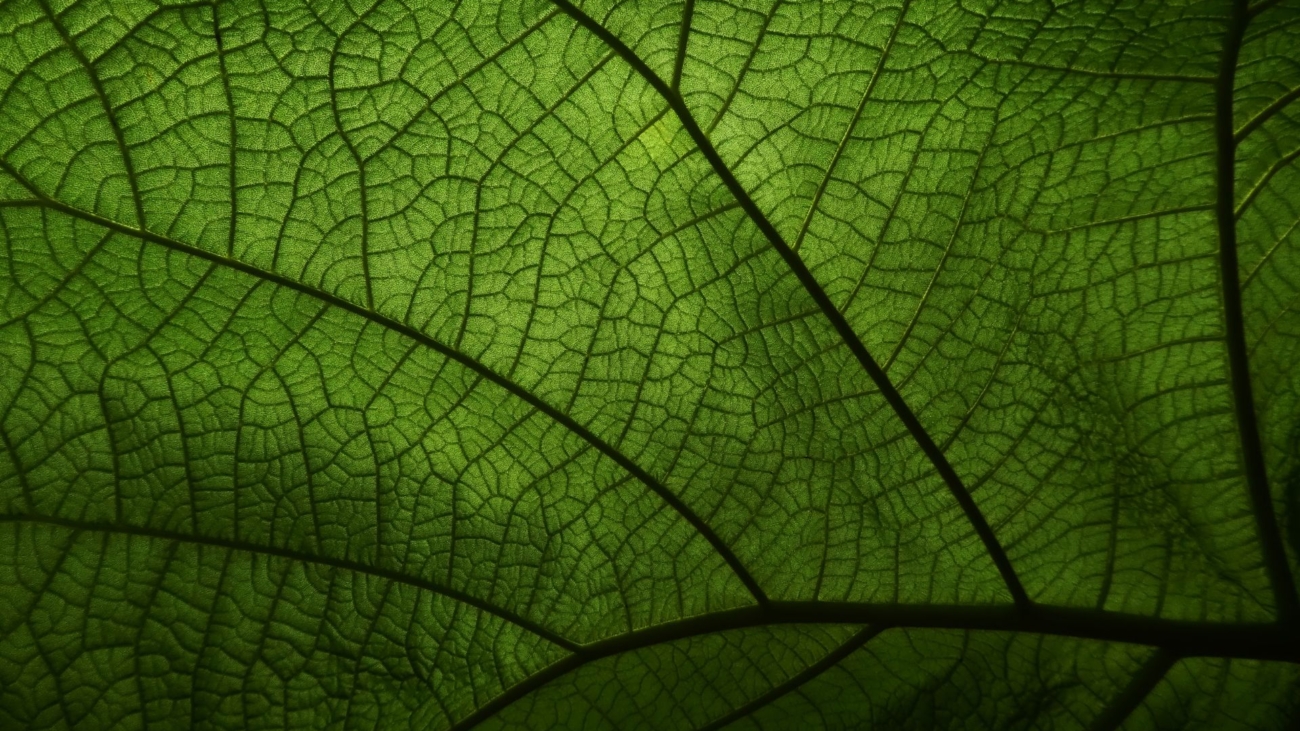 header-sito-bilancio-sostenibilita